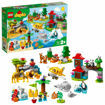 Poza cu LEGO DUPLO Town - Animalele lumii 10907