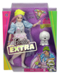 Poza cu PAPUSA BARBIE EXTRA STYLE BEANIE