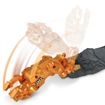 Poza cu HOT WHEELS MONSTER TRUCK SET SABRETOOTH