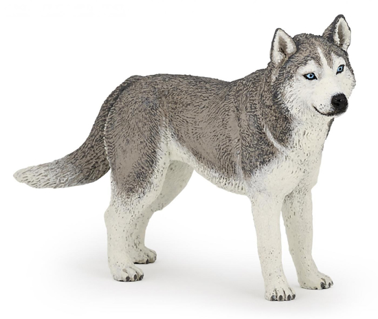 Poza cu PAPO FIGURINA HUSKY SIBERIAN