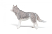Poza cu PAPO FIGURINA HUSKY SIBERIAN