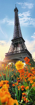 Poza cu PUZZLE TREFL PANORAMA 300 TURNUL EIFFEL