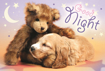 Poza cu PUZZLE TREFL 60 NOAPTE BUNA