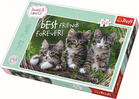 Poza cu PUZZLE TREFL 260 PISOI DRAGALASI