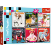 Poza cu PUZZLE TREFL 200 CATEII FERICITI