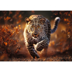 Poza cu PUZZLE TREFL 1000 PREMIUM PLUS PHOTO ODYSSEY LEOPARD
