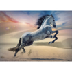 Poza cu PUZZLE TREFL 1000 CALUL MAIESTUOS