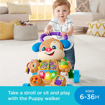 Poza cu FISHER PRICE ANTEMERGATOR CATELUSUL INTERACTIV IN LIMBA ROMANA