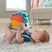 Poza cu FISHER PRICE ARICIUL CU ACTIVITATI SENZORIALE