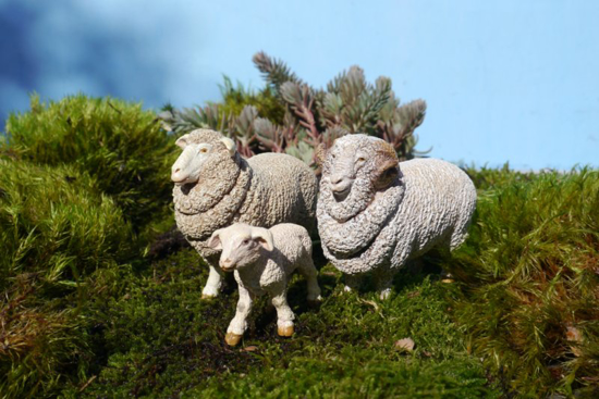 Poza cu PAPO FIGURINA OAIE MERINOS