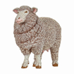 Poza cu PAPO FIGURINA OAIE MERINOS
