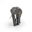 Poza cu PAPO FIGURINA ELEFANT ASIATIC