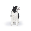 Poza cu PAPO FIGURINA CATEL BORDER COLLIE
