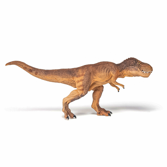 Poza cu PAPO FIGURINA DINOZAUR T-REX MARO ALERGAND
