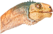 Poza cu PAPO FIGURINA DINOZAUR CHILESAURUS
