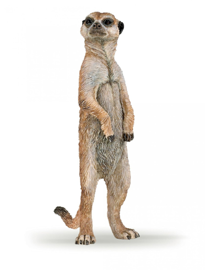 Poza cu PAPO FIGURINA SURICATA