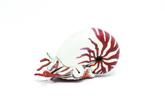 Poza cu PAPO FIGURINA NAUTILUS
