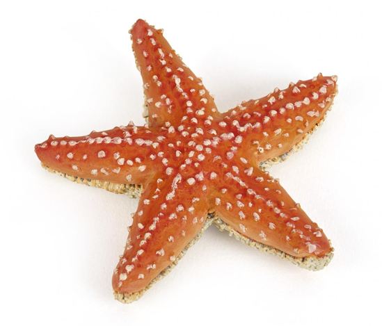 Poza cu PAPO FIGURINA STEA DE MARE