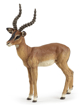 Poza cu PAPO FIGURINA IMPALA