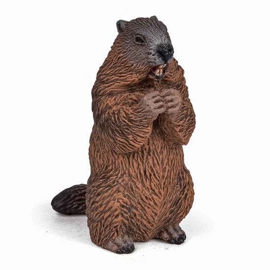 Poza cu PAPO FIGURINA MARMOTA