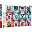 Poza cu PUZZLE TREFL 2000 CATELUSII AMUZANTI