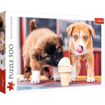 Poza cu PUZZLE TREFL 500 ESTE TIMPUL PENTRU O INGHETATA