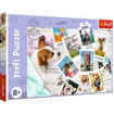 Poza cu PUZZLE TREFL 300 POZE DIN VACANTA