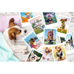 Poza cu PUZZLE TREFL 300 POZE DIN VACANTA