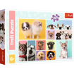 Poza cu PUZZLE TREFL 160 PRIETENIA CATELUSILOR