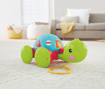 Poza cu JUCARIE DE TRAS BROSCUTA TESTOASA FISHER PRICE
